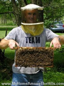 Gentle bees