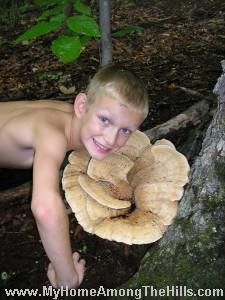Berkeley\'s polypore devouring Isaac