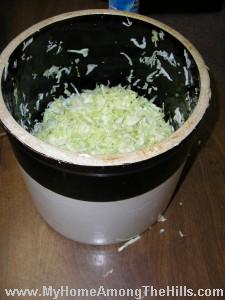 crock of kraut