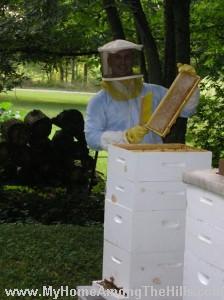 Brushing off bees from honey frames