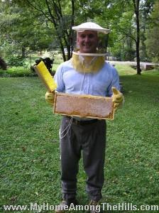 capped frame of honey