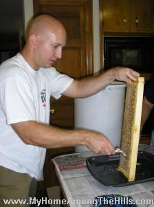 Uncapping the honey
