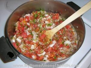 Salsa before cooking down