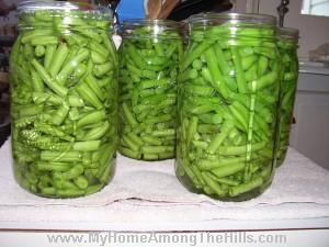 beans to be canned
