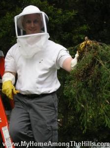 swarm captured