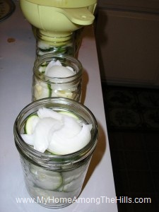 Topped with onions