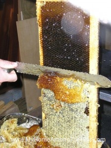 Dark honey