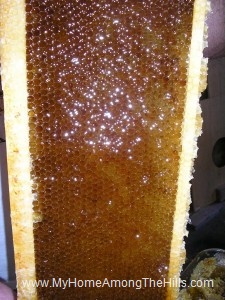 Lighter honey