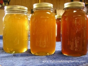 Three types of honey