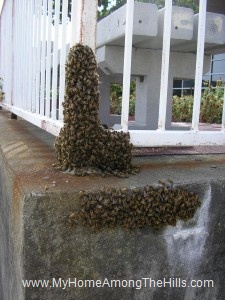 Post office swarm