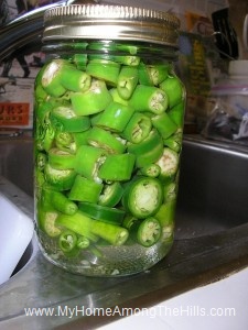 Canned, pickled jalapenos