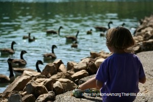 Abigail feeding geese