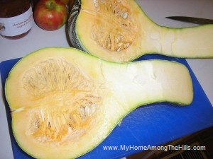 Cushaw squash...seeds