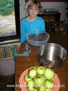 Ready to peel apples for apple jelly