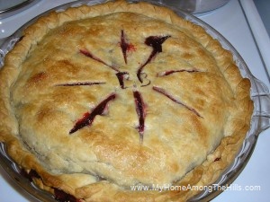 Blackberry pie! Blackberry pie!
