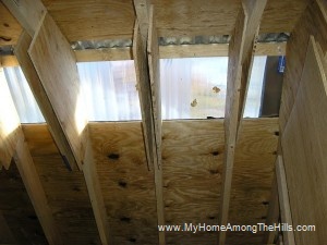 Sunroof in my shed! Sunroof in my shed!