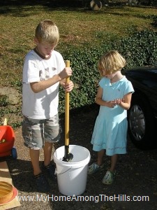 Smashing apples for cider