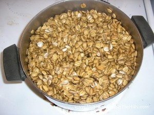 Boiling Sunflower Seeds