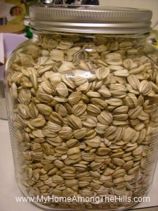 Roasted Sunflower Seeds