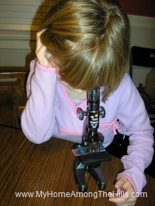 Microscope work Microscope work