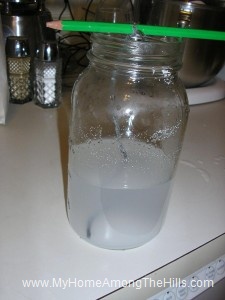 Making salt crystals making salt crystals