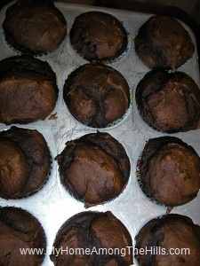 Chocolate pumpkin muffins
