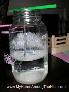 Making salt crystals making salt crystals
