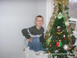 Setting up the Christmas Tree!