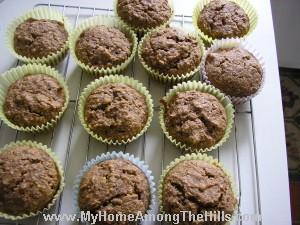 Finished fiber muffins