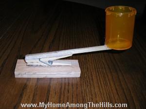 Homemade Catapult