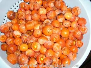 Persimmons - pretty but astringent