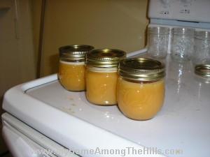 Persimmons jelly - bad batch