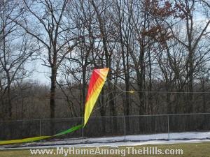 Flying a kite