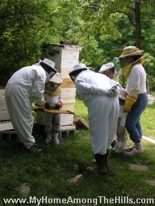 A hive full of bees and honey supers
