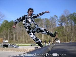 Yep...a cow on skates!