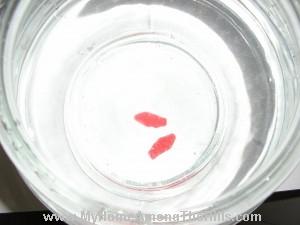 Swedish fish breeding program!