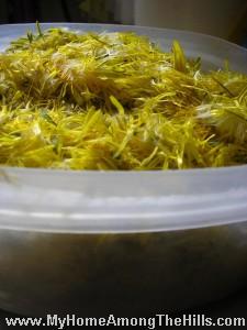 Dandelions petals!
