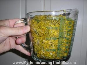 Dandelions petals!