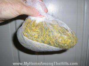 Dandelions petals!