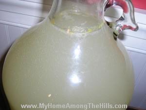 Dandelions wine fermenting! Lots of bubbles!