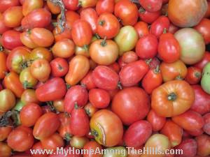 Garden goodness!