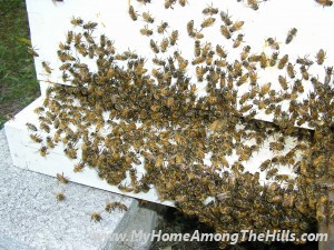 08_20_2005 017