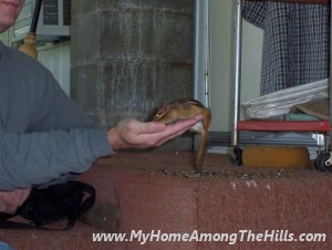 Picture_0010