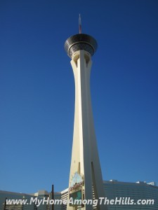 029 029