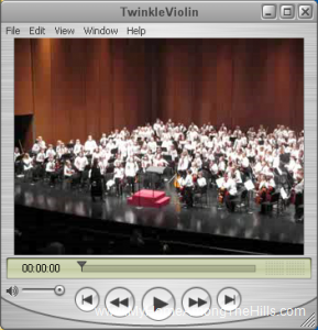 TwinkleViolin