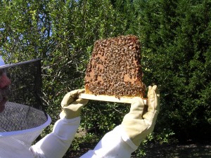 September_15_Inspection_012