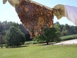 September_15_Inspection_014