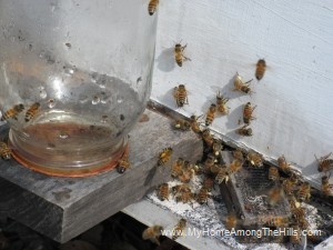 03_07_2011 011