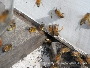 03_07_2011 012