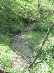 05_02_2011 034